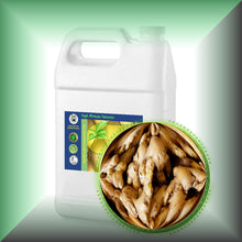 Ginger Root Essential Oil (Zingiber officinale)