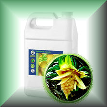 Kewra Absolute Oil (Pandanus odoratissimus)