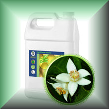 Neroli *Orange Blossom* Essential Oil (Citrus Aurantium)