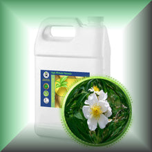 Wild Musk Rose Essential Oil (Rosa Moschata)