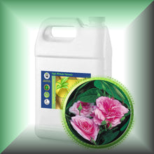 Rose Essential Oil *Bulgaria* (Rose Otto, Rosa Damascena)