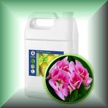 Geranium (Pelargonium Graveolens) Essential Oil