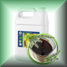 Rosemary Oleoresin (ROE) Extract