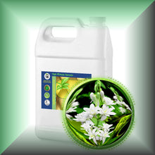 Tuberose Absolute Oil (Polianthes Tuberosa)