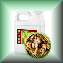 Ginger Root Liquid Tincture Extract (Zingiber officinale) - High Concentration 1:5