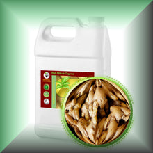 Ginger Root Liquid Tincture Extract (Zingiber officinale) - High Concentration 1:5
