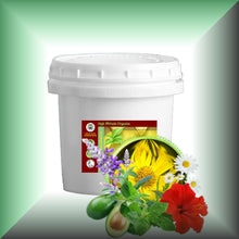 HAIR BLESK™  Arnica & Hibiscus Hot Oil Treatment