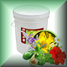 HAIR BLESK™  Arnica & Hibiscus Hot Oil Treatment