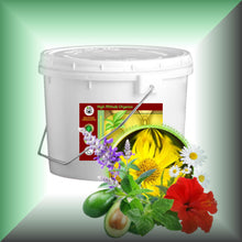 HAIR BLESK™  Arnica & Hibiscus Hot Oil Treatment