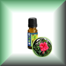Hibiscus (Rosa Sinensis) Essential Oil