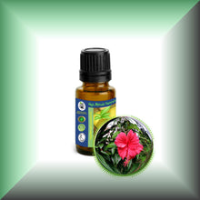 Hibiscus (Rosa Sinensis) Essential Oil
