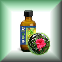 Hibiscus (Rosa Sinensis) Essential Oil