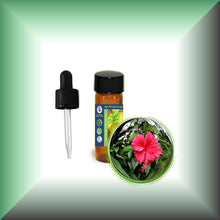 Hibiscus (Rosa Sinensis) Essential Oil