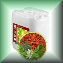 EXQUISITE SANDALWOOD™ Massage Oil for Face & Body with 6 Kinds of Sandalwood, Botanical Extracts