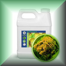 Carrot Seed Essential Oil (Daucus Carota) *Very High Carotol 70%*