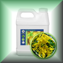 Cassie Sweet Absolute Oil (Acacia Farnesiana)