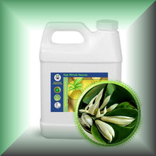 Champaca Absolute Oil (White, Magnolia Alba)