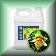 Kewra Absolute Oil (Pandanus odoratissimus)