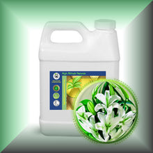 Lily Absolute Oil (Lilium Auratum)