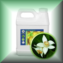Neroli *Orange Blossom* Essential Oil (Citrus Aurantium)