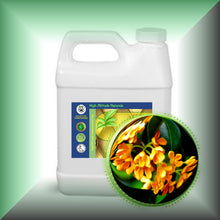 Osmanthus Absolute Oil (Osmanthus Fragrans)
