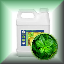 Peppermint Essential Oil (Mentha Piperata)
