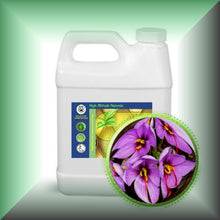 Saffron Essential Oil (Crocus sativus)