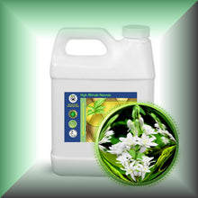 Tuberose Absolute Oil (Polianthes Tuberosa)