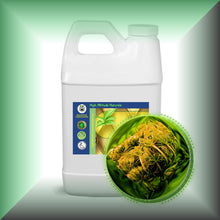 Carrot Seed Essential Oil (Daucus Carota) *Very High Carotol 70%*