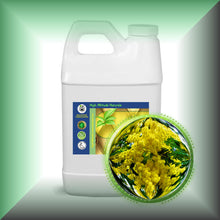 Cassie Sweet Absolute Oil (Acacia Farnesiana)