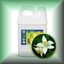 Neroli *Orange Blossom* Essential Oil (Citrus Aurantium)