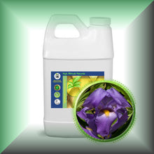 Orris Root Absolute Oil (Iris Pallida)