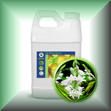 Tuberose Absolute Oil (Polianthes Tuberosa)