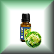 Linden Blossom (Tilia Vulgaris) Essential Oil