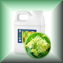 Linden Blossom (Tilia Vulgaris) Essential Oil bulk wholesale