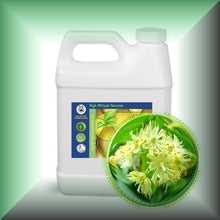 Linden Blossom (Tilia Vulgaris) Essential Oil bulk wholesale