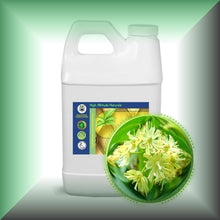 Linden Blossom (Tilia Vulgaris) Essential Oil bulk wholesale