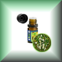 Myrtle (Myrtus Communis) Essential Oil