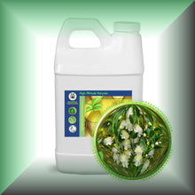 Myrtle (Myrtus Communis) Essential Oil