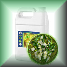 Myrtle (Myrtus Communis) Essential Oil