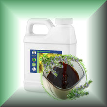 Rosemary Oleoresin (ROE) Extract