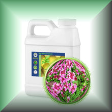 Red Thyme Essential Oil (Thymus Vulgaris)