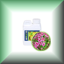 Red Thyme Essential Oil (Thymus Vulgaris)