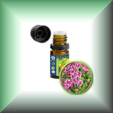 Red Thyme Essential Oil (Thymus Vulgaris)