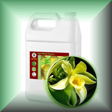 Vanilla (Vanilla Planifolia) Essential Oil