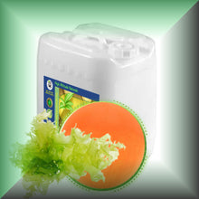 marine micro algae algal oil for skin hair schizochytrium omega 3 dha 40 docosahexaenoic acid microalgae essential