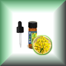 Asafoetida Essential Oil (Ferula Assa-Foetida)