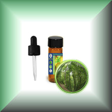 Birch *Black, Sweet* Bark Essential Oil (Betula Lenta)