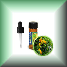 Bitter *Seville* Orange Essential Oil (Citrus Aurantium)