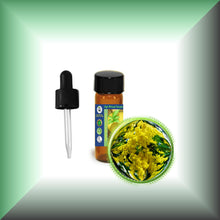 Cassie Sweet Absolute Oil (Acacia Farnesiana)